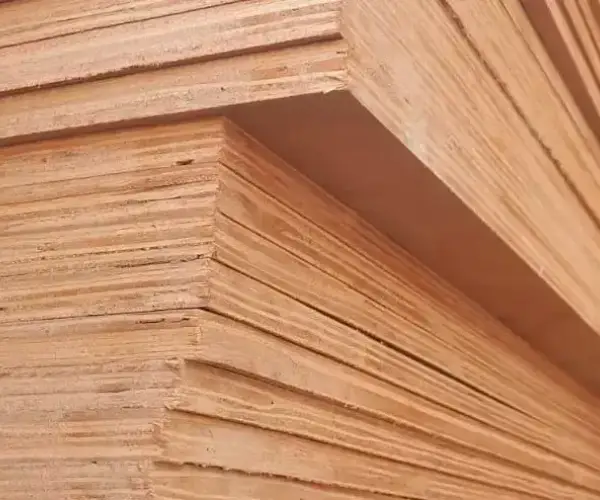 Commercial Plywood gallery_2